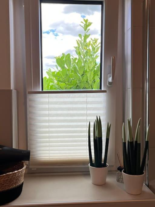 Appartement Buechensaal Mit Stellplatz 埃伦塞 外观 照片